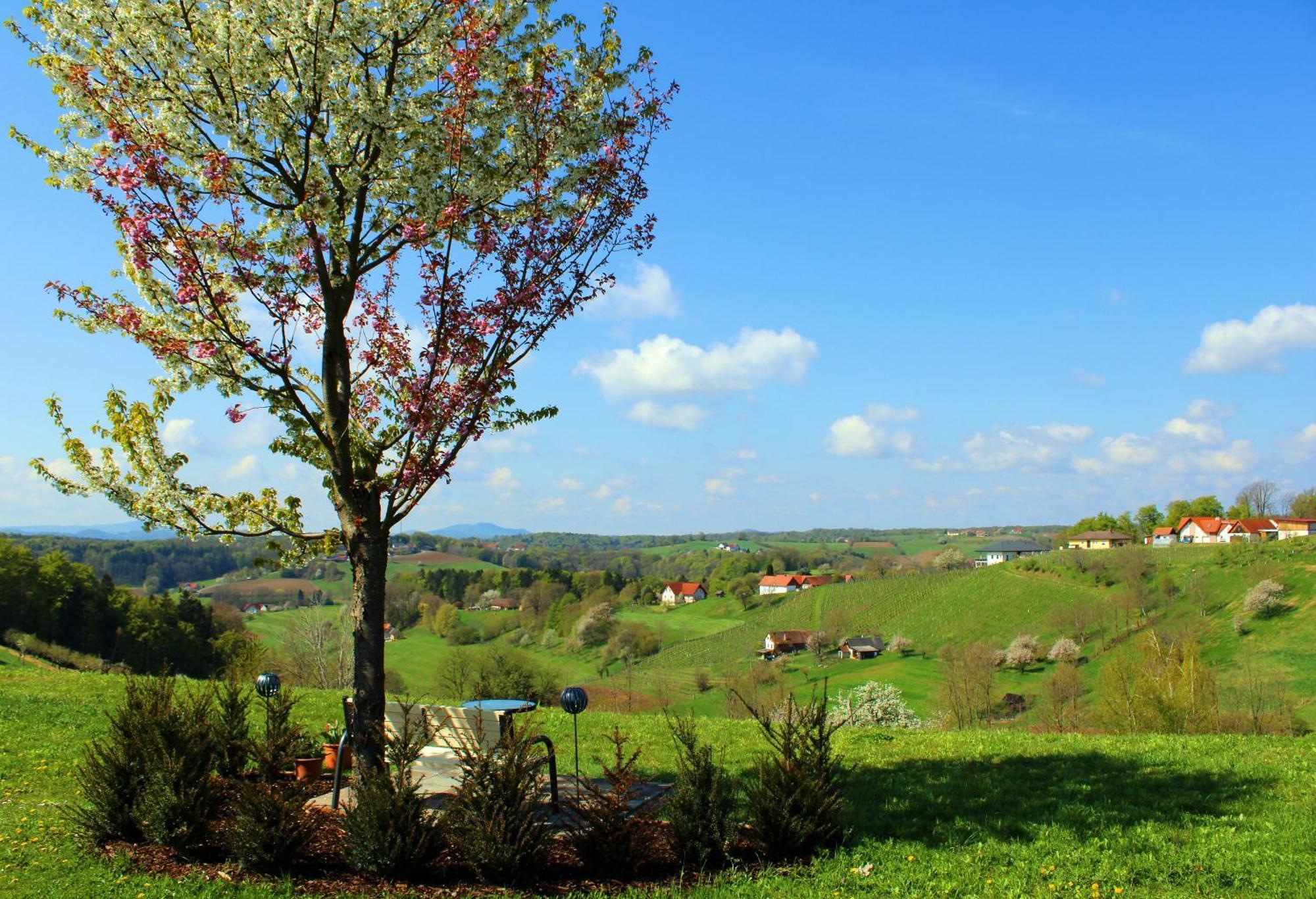 Pension Lammerhof Unterlamm  Εξωτερικό φωτογραφία